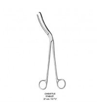 CHEATTLE Sterilizing Forceps